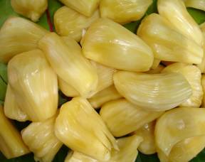 jackfruits